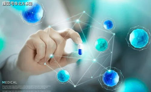 北方基因大健康 信息化時(shí)代大健康產(chǎn)業(yè)的變革與健康信息咨詢新生態(tài)